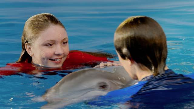 Dolphin Tale 2 Movie Online