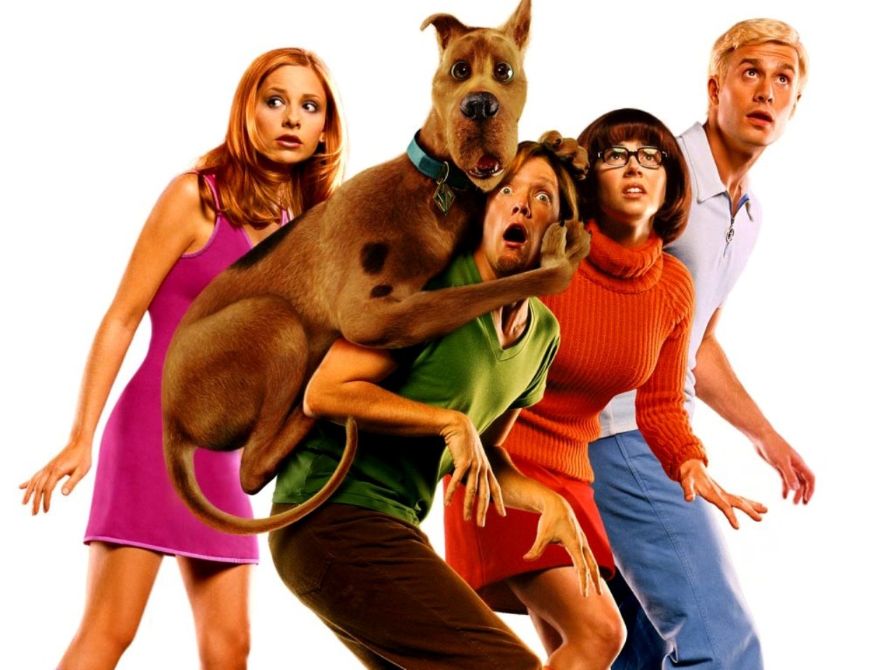 40 HQ Pictures All Scooby Doo Movies Animated : Expedition Of Scooby Doo From Cartoon To Animation Movies